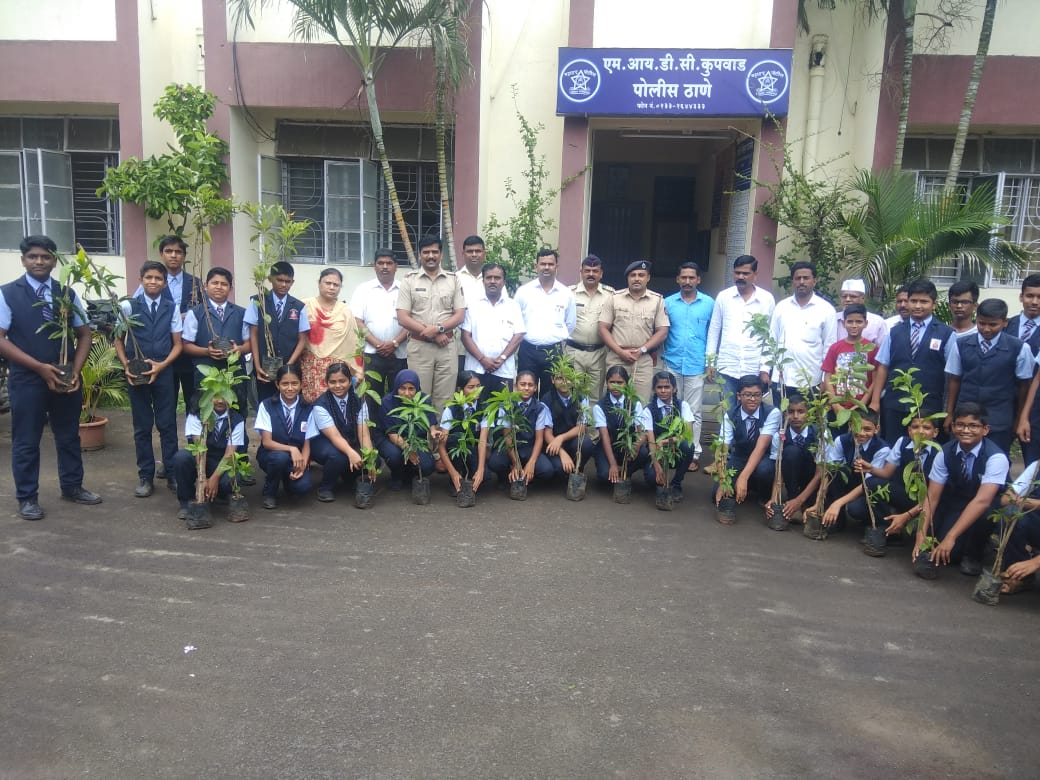 Tree Plantation Program
