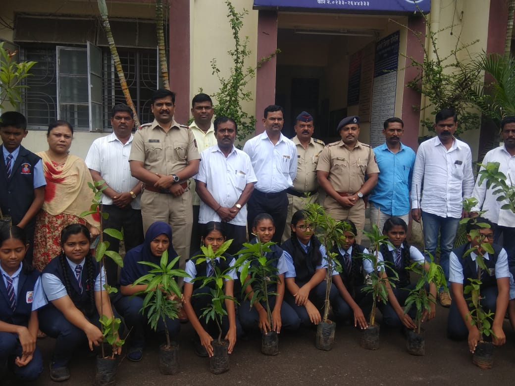 Tree Plantation Program