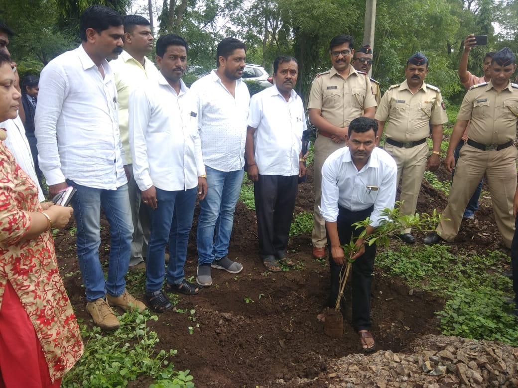 Tree Plantation Program