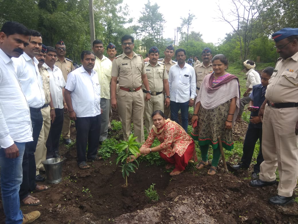 Tree Plantation Program