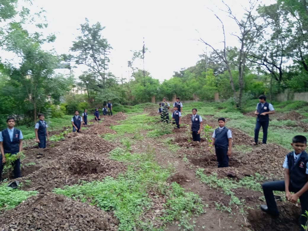 Tree Plantation Program