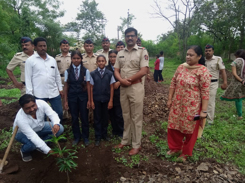 Tree Plantation Program
