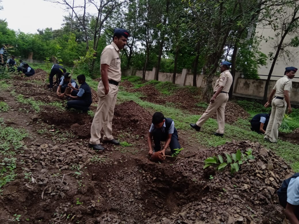 Tree Plantation Program